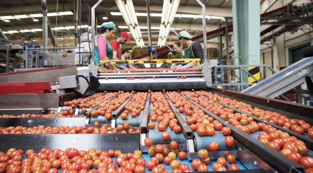 Las cooperativas agroalimentarias valencianas facturaron 2.400 millones de euros en 2023