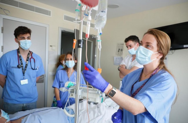 La Fe supera los 100 trasplantes de médula ósea de donante en pacientes adultos en un año
