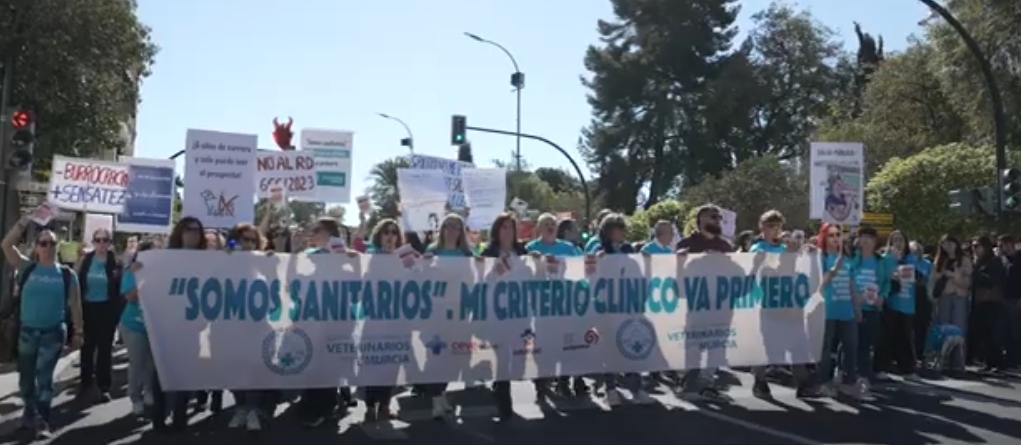 Protesta de los veterinarios, en una imagen de archivo. - Fuente: COLEGIO VETERINARIOS