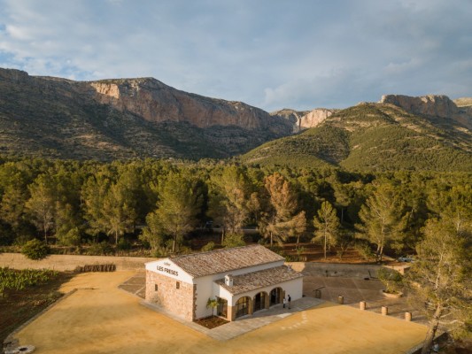 La filosofia del vino