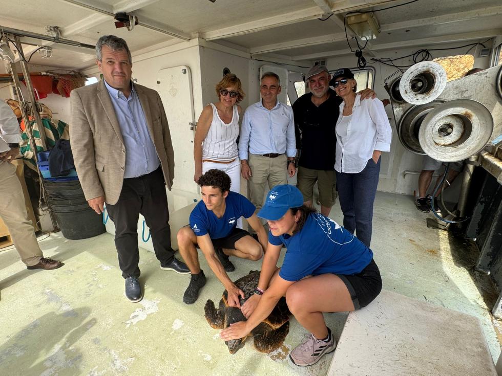 La Conselleria de Agricultura desarrollan un proyecto piloto para criar y reintroducir el erizo del mar en la Comunitat