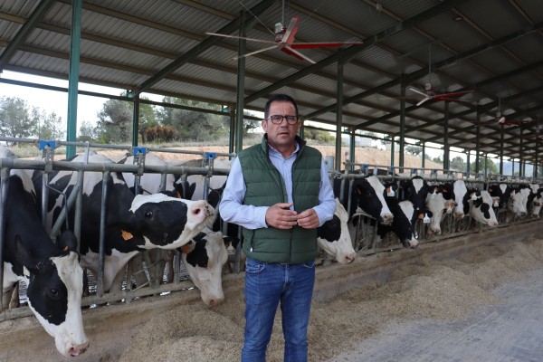 Una vaquería de Villena que provee a Danone, entre los premiados por Asaja Alicante