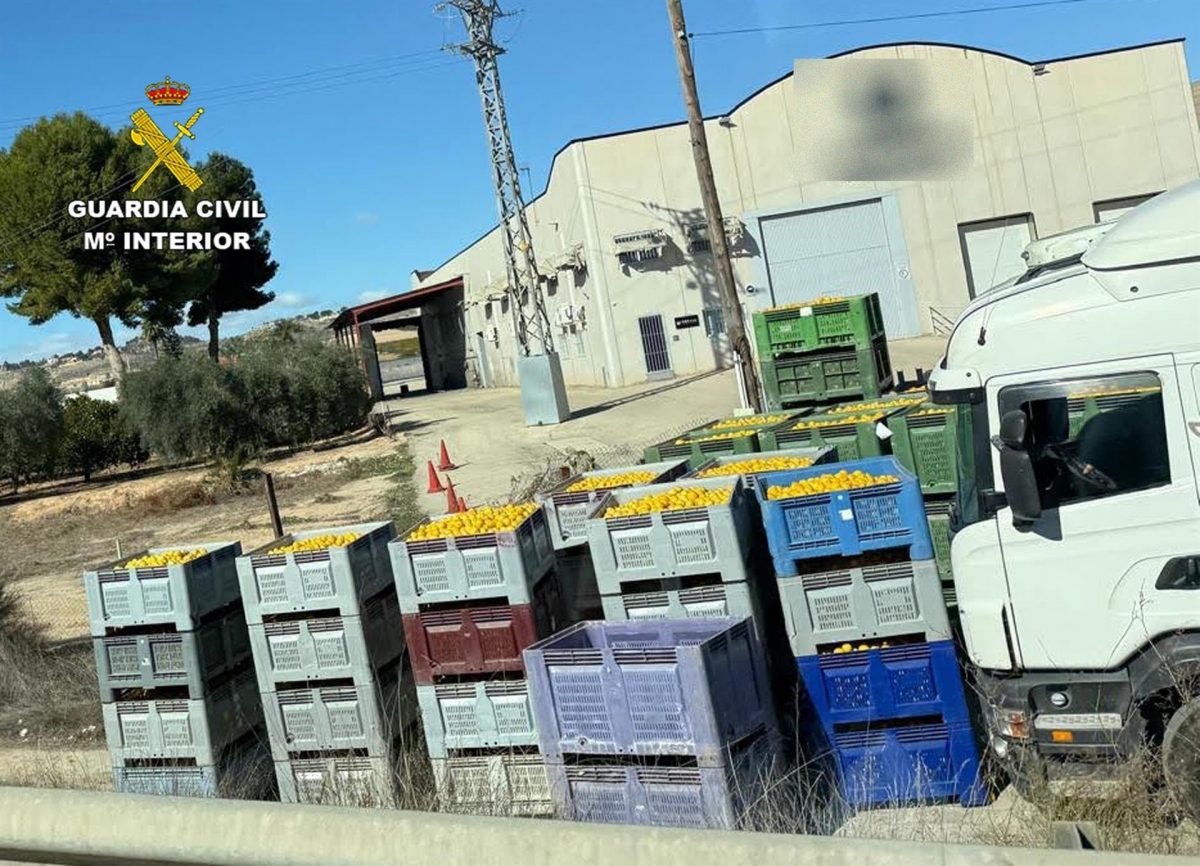 Imagen de la investigación desarrollada por la Guardia Civil - 