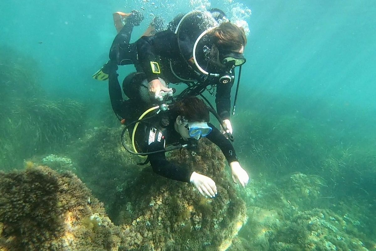 Bucear empieza aquí: Cabo de Palos, elegido como uno de los mejores lugares de España para dar el salto