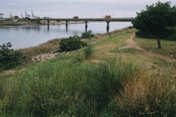 El proyecto de ajardinamiento de la primera fase del Parc de Desembocadura estará en febrero