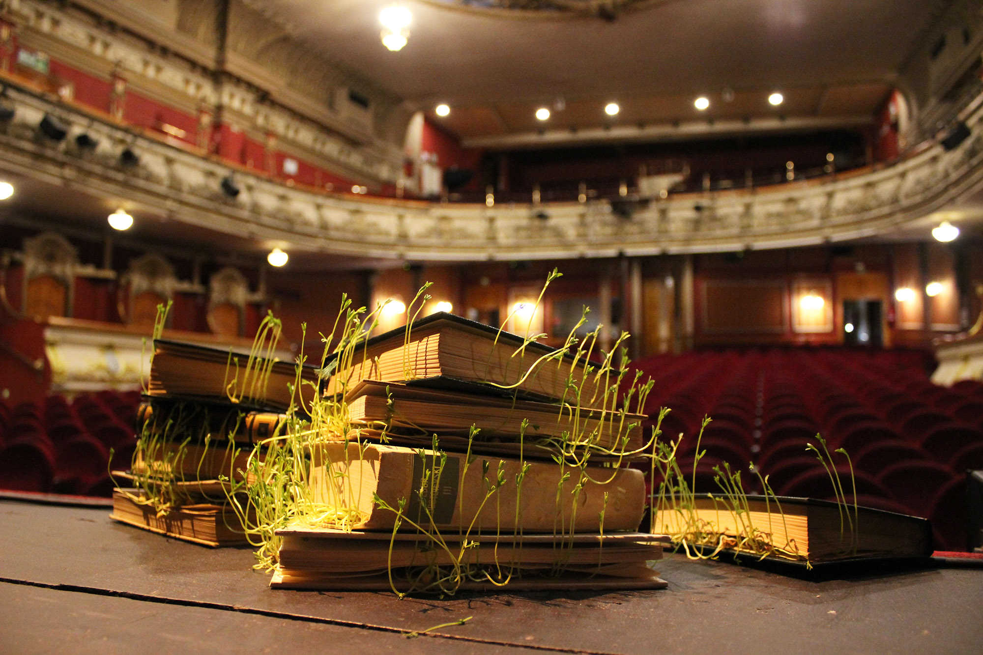 El Teatro Olympia celebra el Día del Libro con la instalación Mirakels