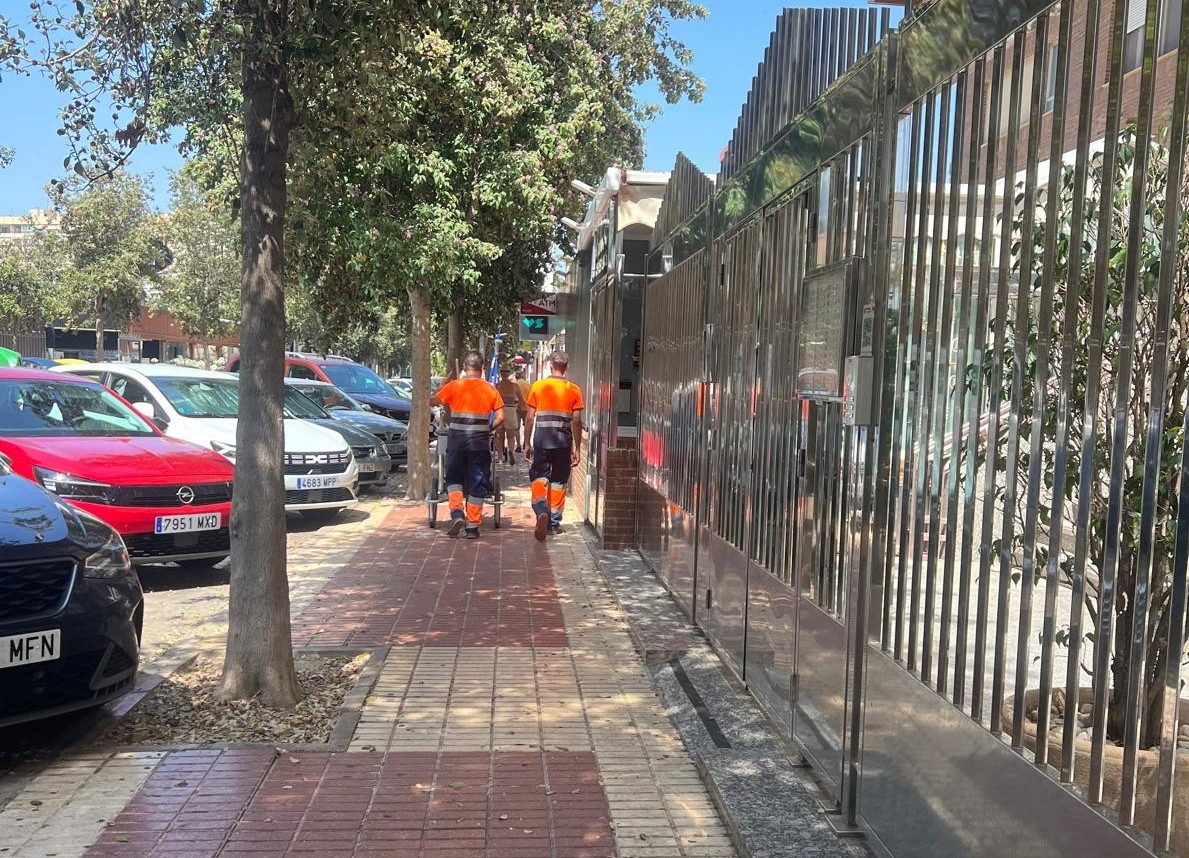 Otra vez la limpieza: vecinos de Playa de San Juan denuncian la acumulación de hojas