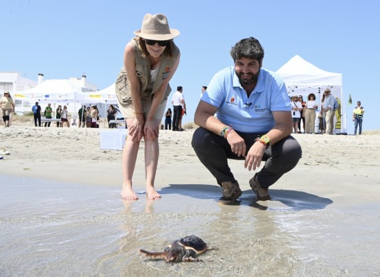 Liberan 30 tortugas bobas en la Playa Ensenada del Esparto de La Manga 