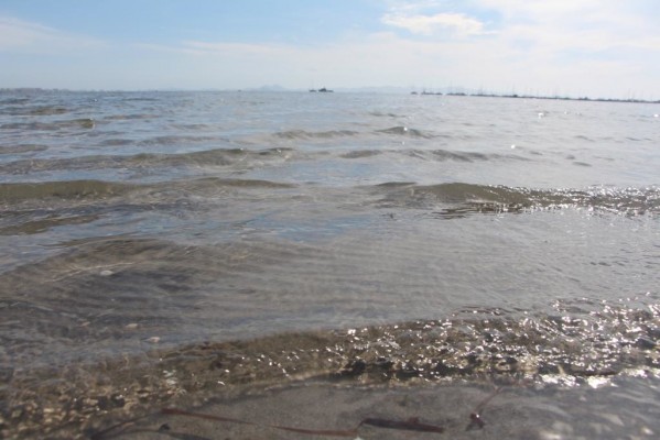 Cierran las playas de Tavernes de la Valldigna, Xeraco y Daimús por bacterias en el agua