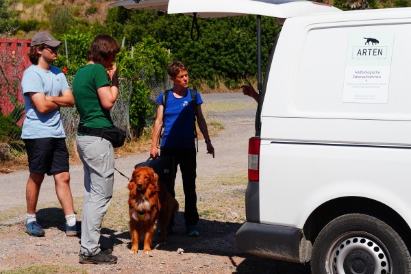 Medio Ambiente y Acció Ecologista-Agró adiestran a perros para detectar especies invasoras de galápagos