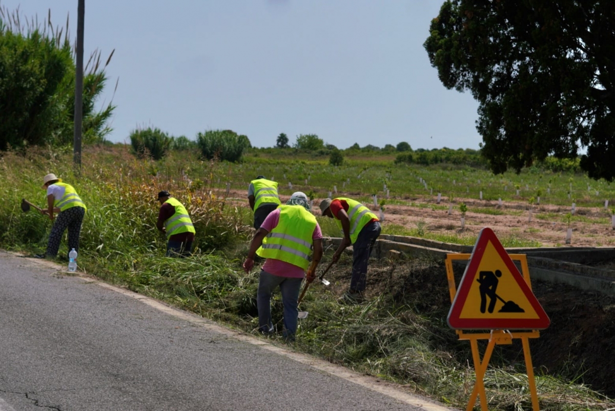 Imagen de unos trabajos de adecuación - 