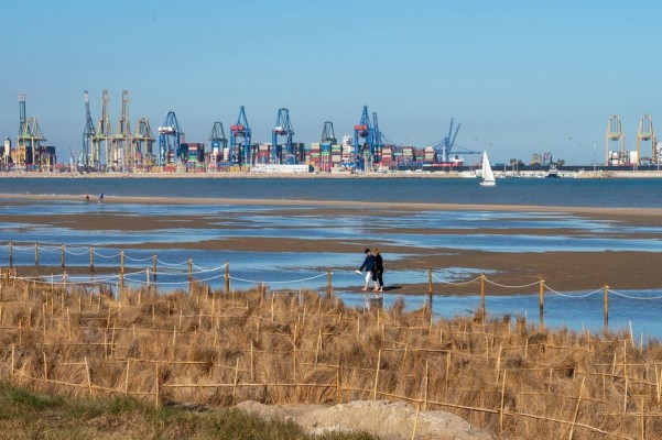 Ciutat-Port denuncia infracciones medioambientales en las obras de la terminal norte del Puerto de València
