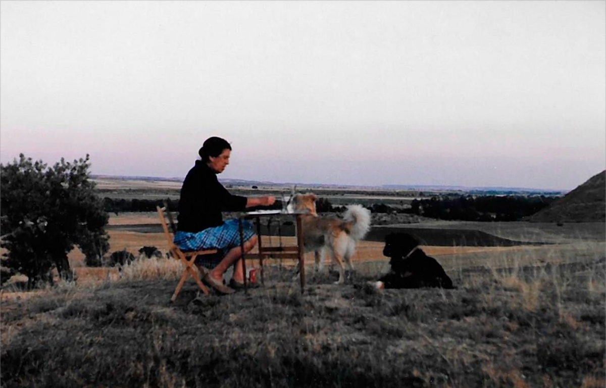 Sofía Morales-Imagen de la exposición en el Museo Gaya - 