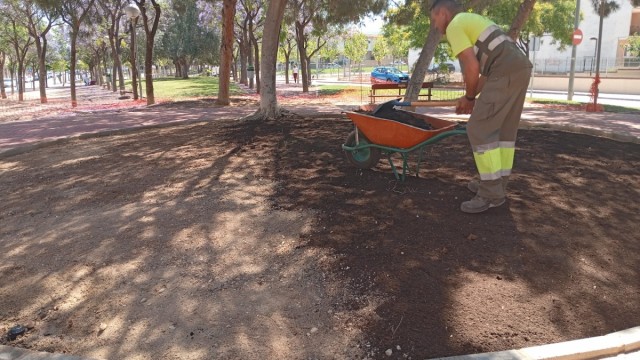Murcia resiembra sus praderas y reverdece 22.000 metros cuadrados en espacios verdes del municipio