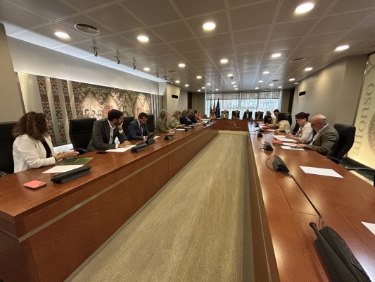 Un julio sin respiro en la Asamblea: los Presupuestos, dos decretos-ley y una comisión para investigar la corrupción