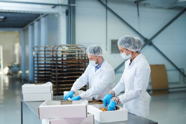 La Cátedra de Ciberseguridad INCIBE-UPV reunirá a expertos para debatir sobre ciberseguridad en la industria agroalimetaria