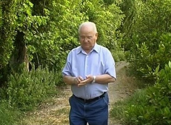 Cien años de Francisco Sánchez Bautista