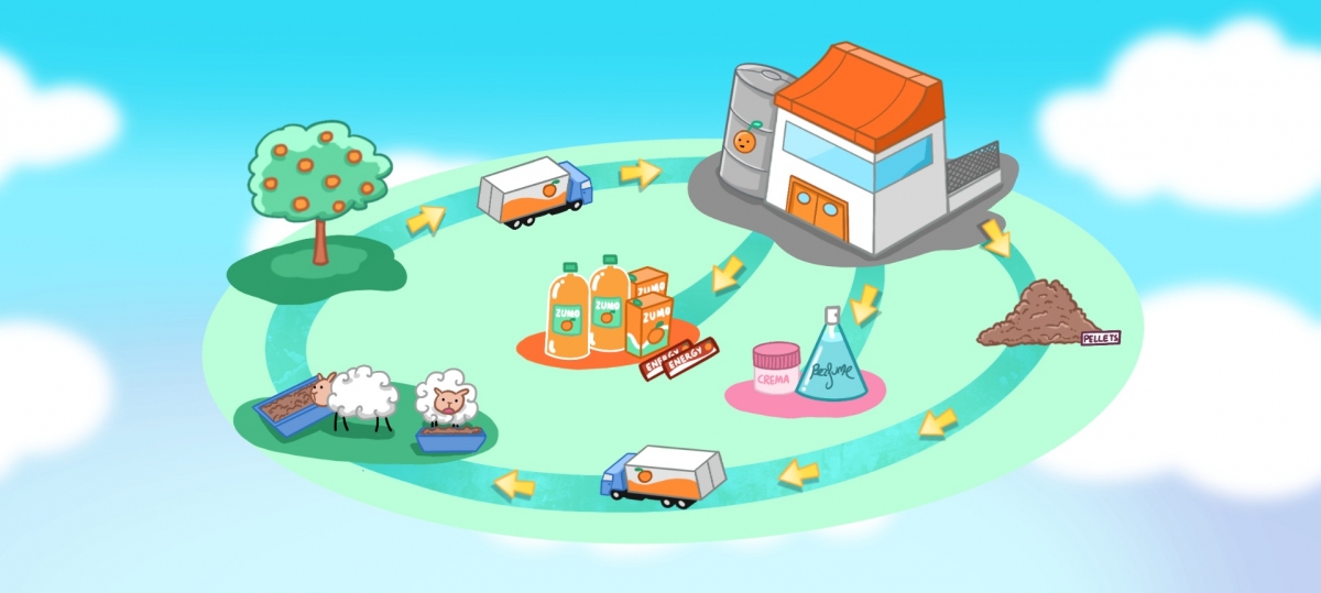 - Foto: COMITÉ GESTIÓN DE CÍTRICOS