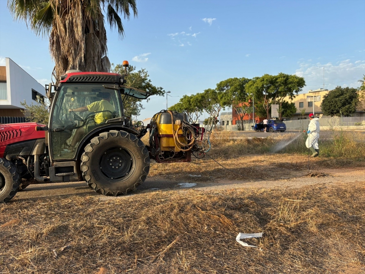 Albal activa un plan extraordinario de fumigación urgente ante la proliferación de chinches