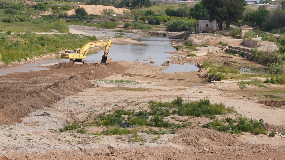 El Ayuntamiento de València exigirá a la CHJ la limpieza urgente del cauce del Turia