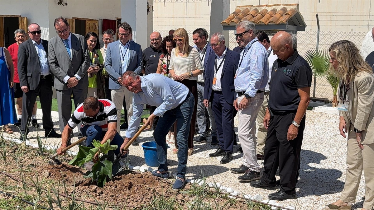 Un esqueje de la higuera de la casa de Miguel Hernández crece en la cárcel de Campos del Río
