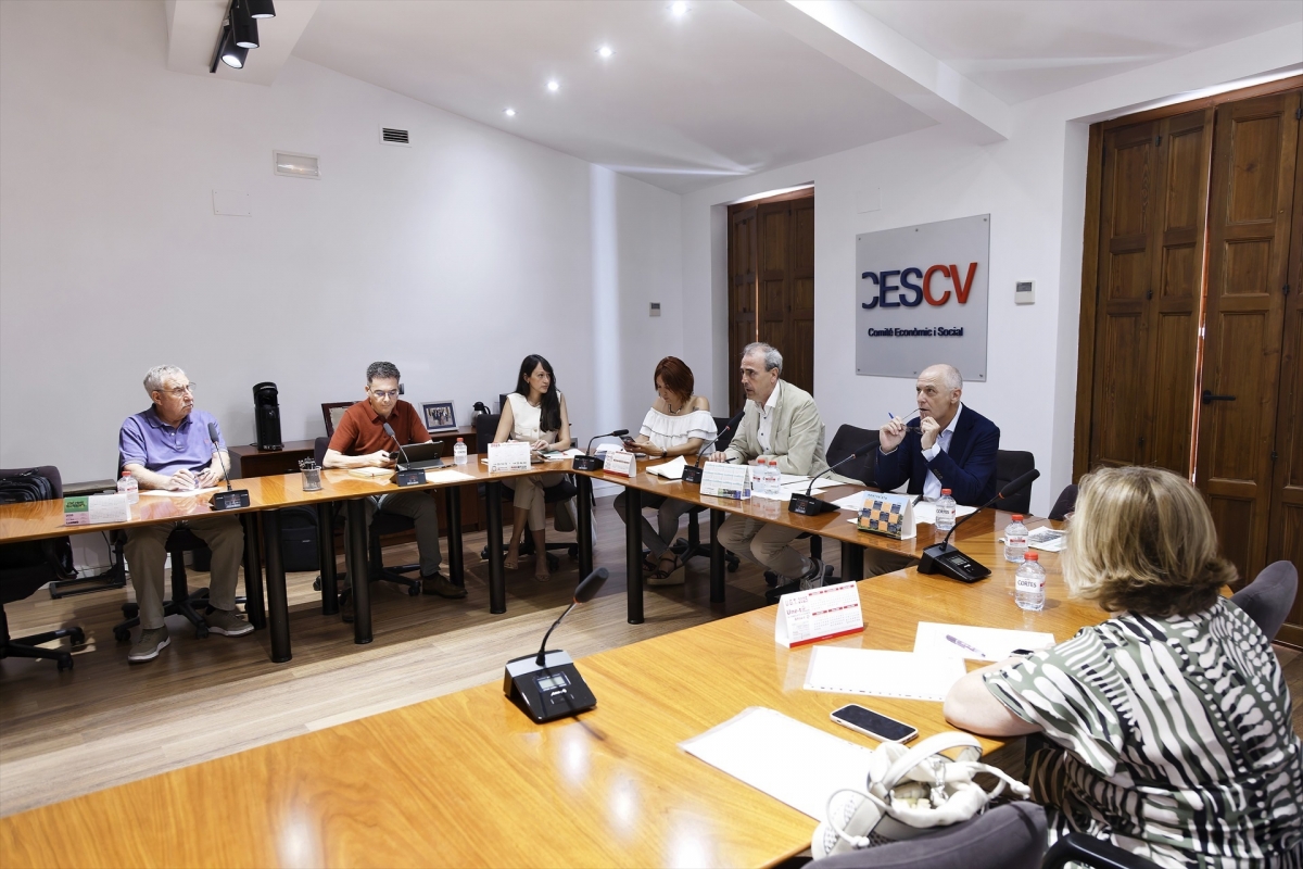 El CES aprueba los dictámenes sobre la mejora de la Renta de Inclusión y la disolución del Colegio de Bellas Artes