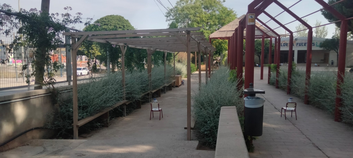 Alicante renaturaliza los patios de 14 colegios con la plantación de arbolado para procurar sombra