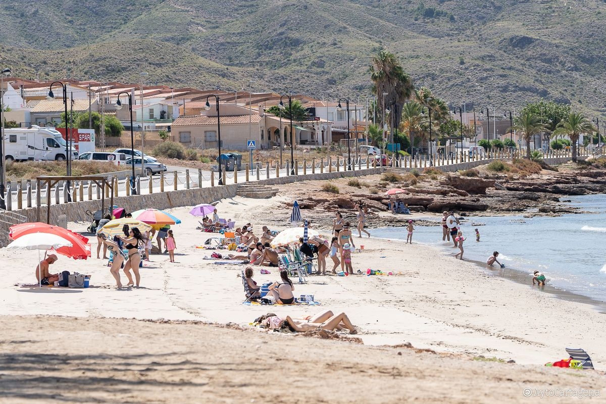 La empresa STV se hace cargo de los servicios de jardinería en la zona del Litoral Oeste de Cartagena por 184.958 euros