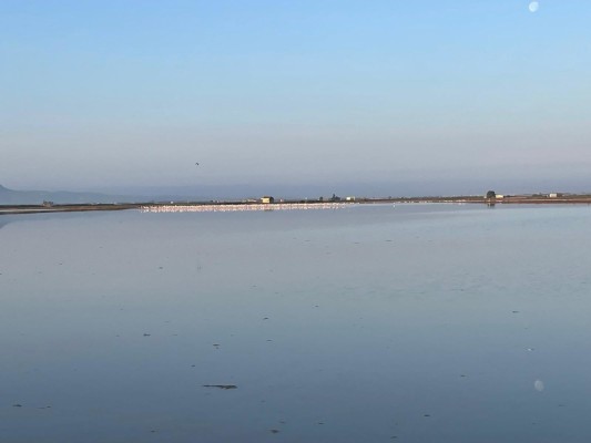 El Palmar celebra el 775 aniversario de la pesca artesanal en l'Albufera