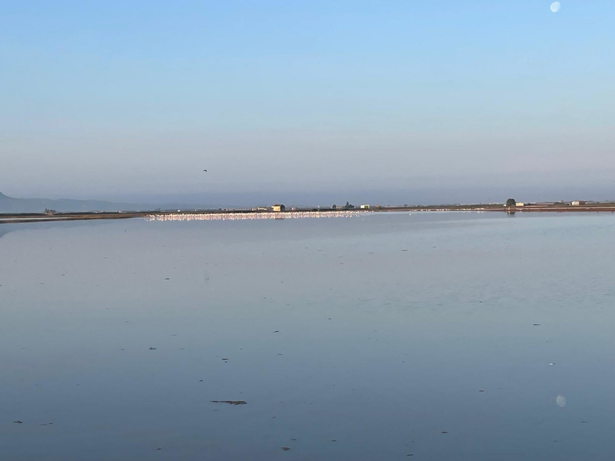 El Palmar celebra el 775 aniversario de la pesca artesanal en l'Albufera