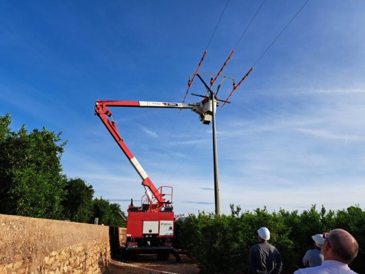 Medio Ambiente instala medidas para evitar electrocuciones de aves en líneas eléctricas
