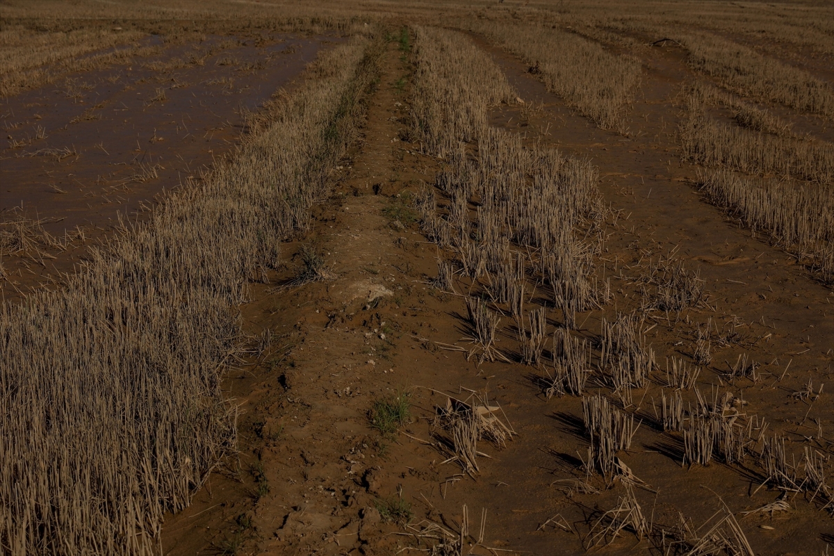  - Foto: ROBER SOLSONA/EP