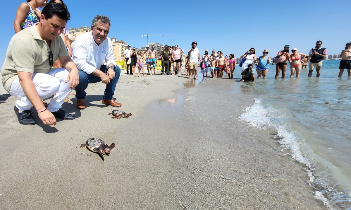 Liberan otros 30 ejemplares de tortuga boba en La Manga