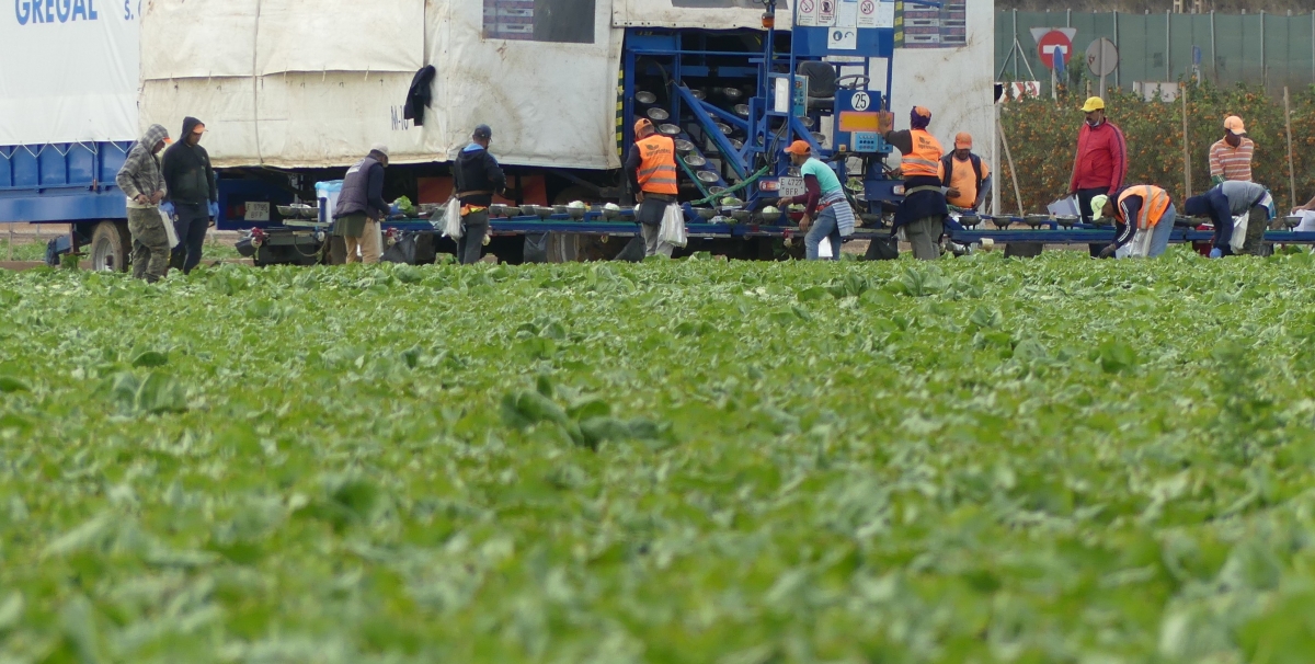 La fuerza del cooperativismo: una economía al servicio de las personas