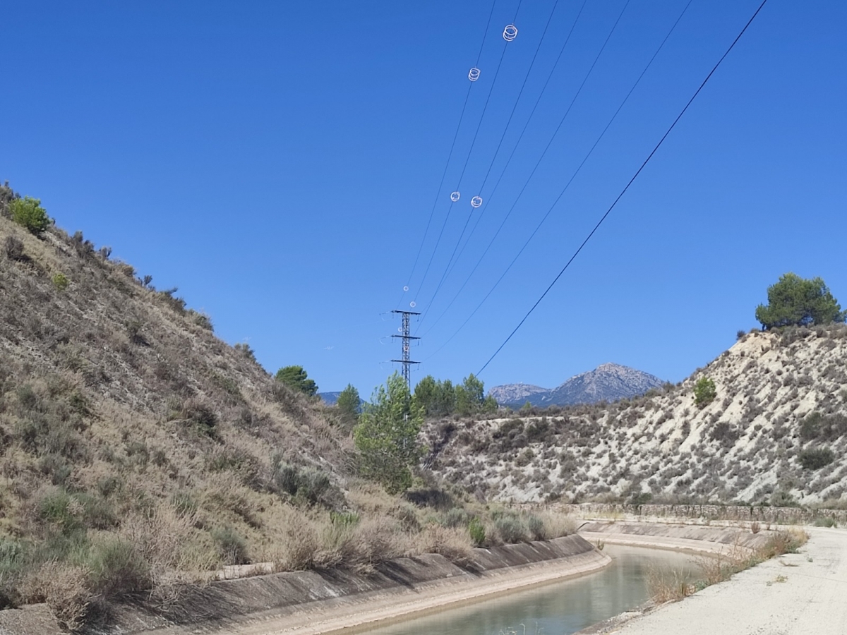 La CHS invierte más de millón y medio en medidas protectoras para las aves en las líneas eléctricas del postrasvase Tajo-Segura