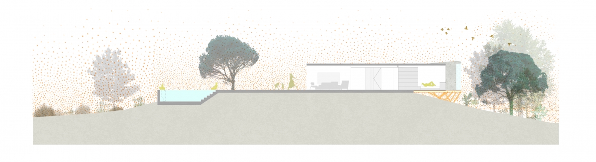  - Foto: DAVID FRUTOS