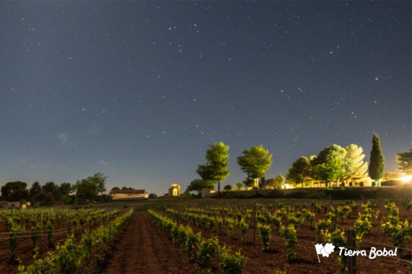 Vuelve el circuito Starlight Tierra Bobal: ocho destinos para descubrir los secretos del cielo nocturno