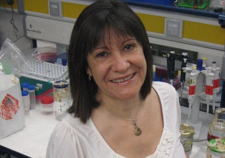 Amparo Latorre y Miguel Torres, premios nacionales 2025 de la Sociedad Española de Genética