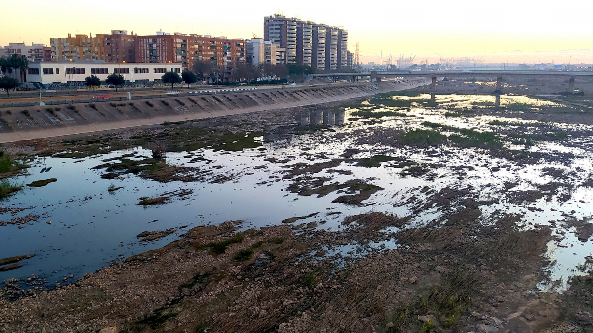 València autoriza el pago de casi 214.000 euros por la limpieza extraordinaria tras la Dana
