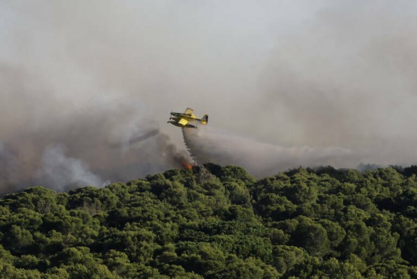 Abren juicio oral contra el hombre acusado de los incendios forestales en El Saler