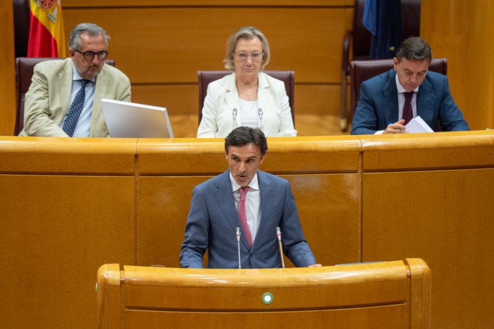 El consejero de Fomento e Infraestructuras, Jorge García Montoro, durante su intervención en el Senado. - Foto: CARM