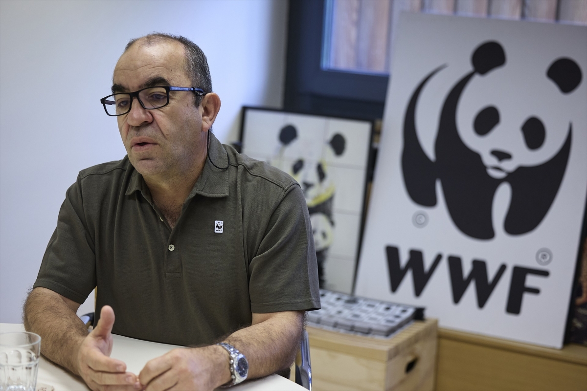 Juan Carlos del Olmo (WWF): 