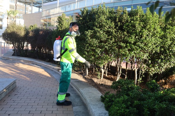 PortCastelló realiza tratamientos de prevención y control de mosquitos en la plaza de Sète del Grau