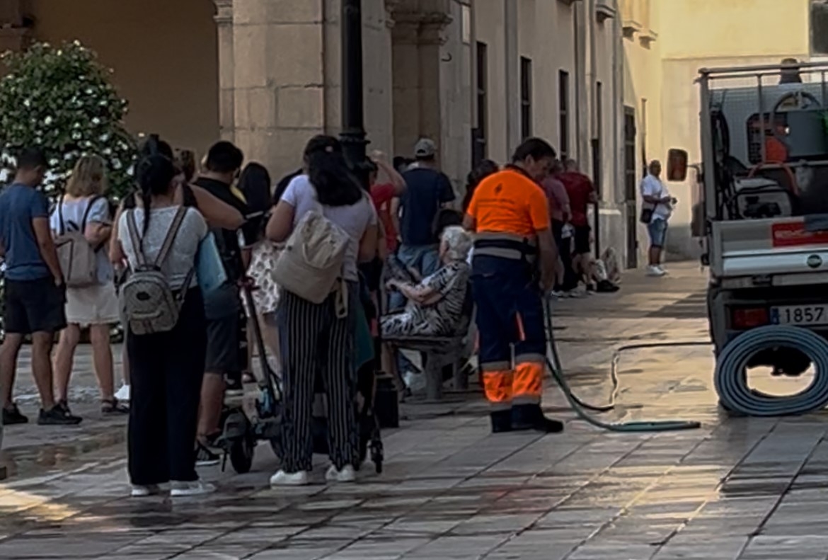 El PSPV denuncia 