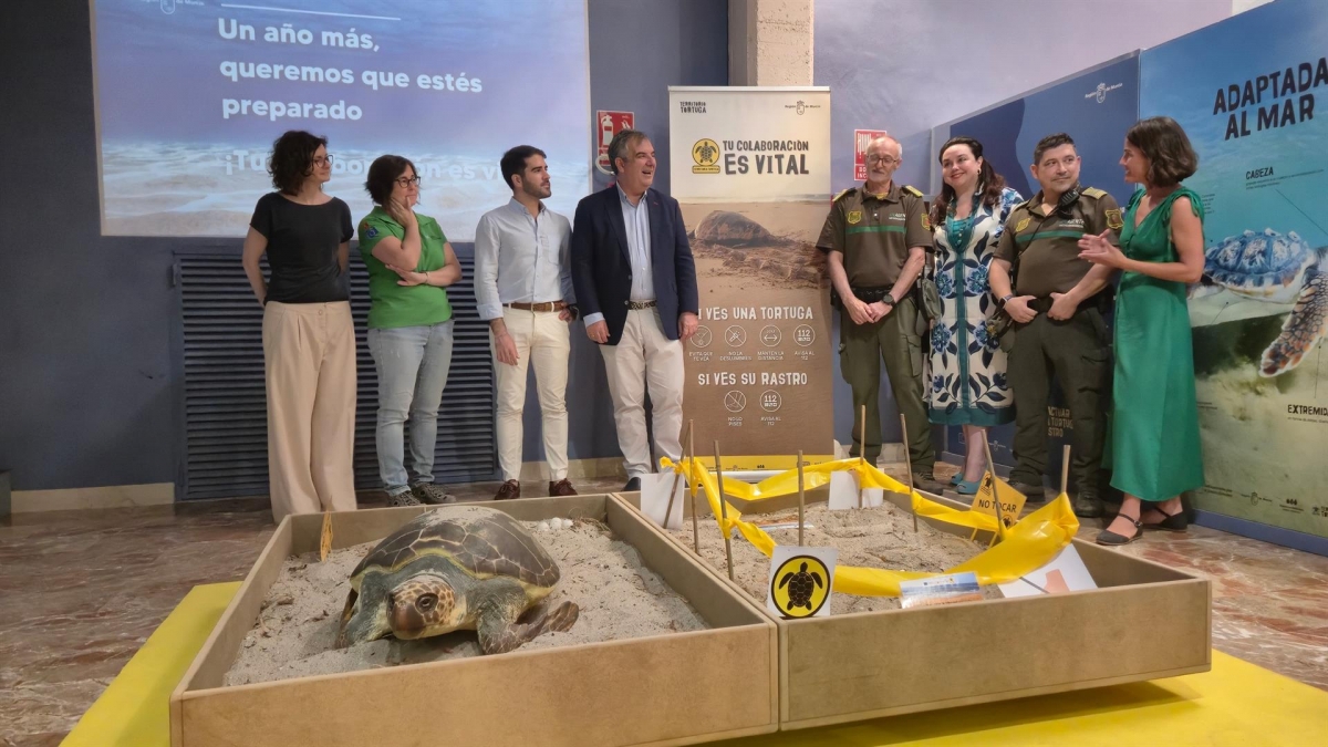 La exposición 'Territorio Tortuga' abre sus puertas en el Museo de la Ciencia y el Agua de Murcia