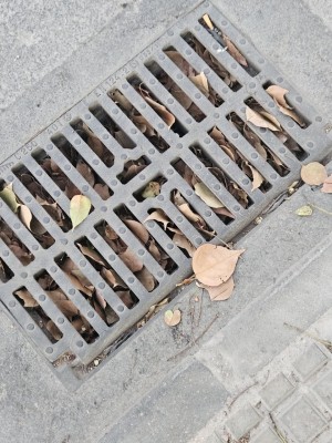 MC Cartagena alerta: los imbornales colapsados ponen en riesgo a la ciudad ante lluvias intensas