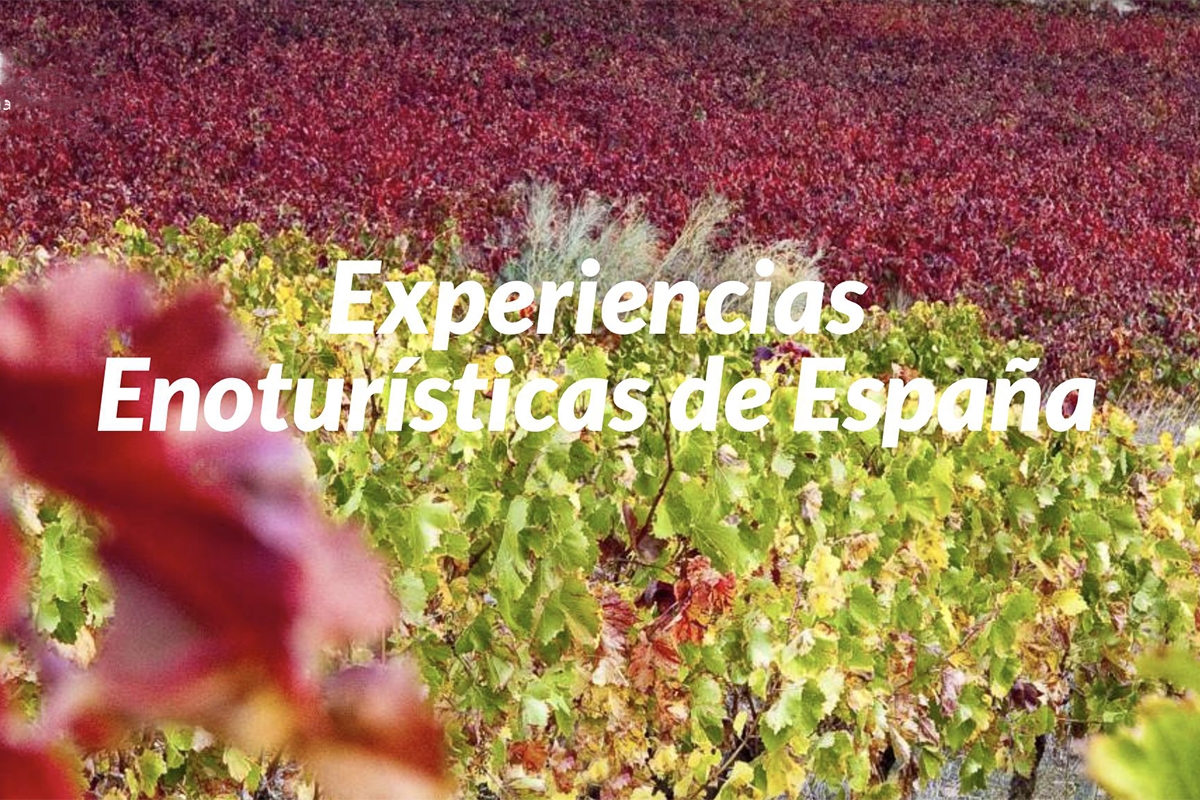 Acevin impulsa el enoturismo con un proyecto financiado por los fondos Next Generation