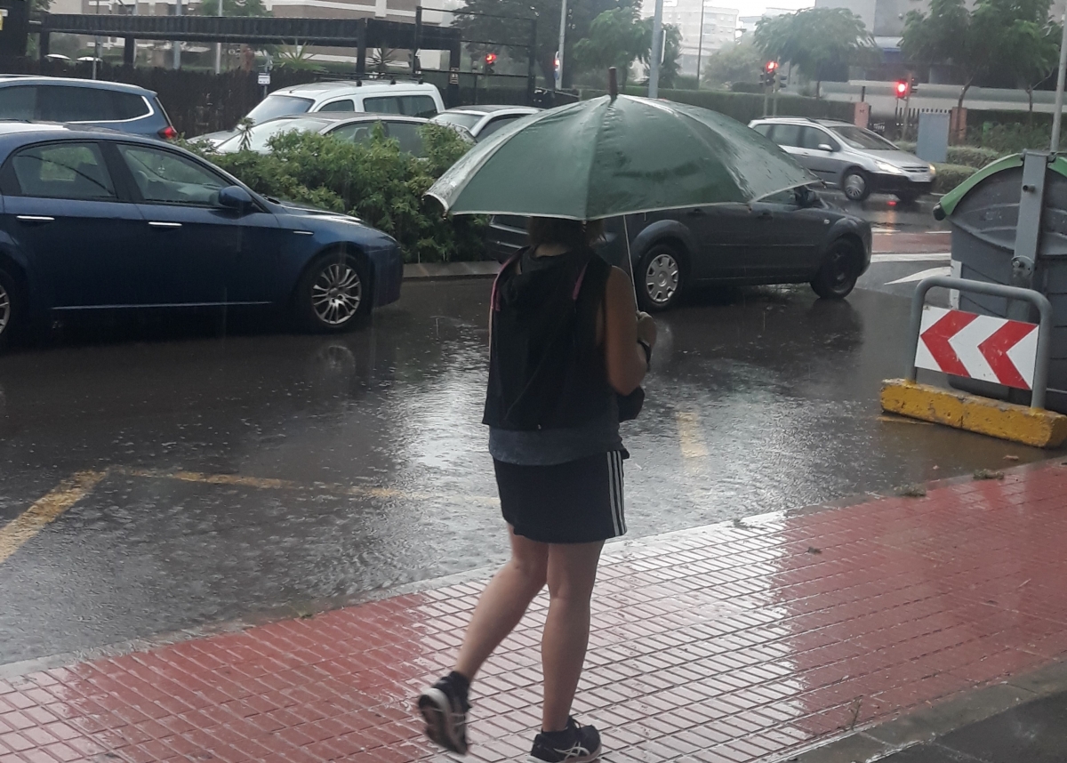 Las lluvias provocan la caída de cascotes y de un árbol y el corte de la Cuadra Borriolench en Castelló