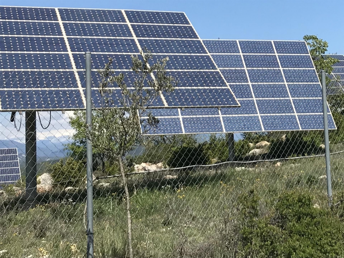 La inversión solar mantiene el ritmo en la Región: autorizados proyectos con  240,2 MW de potencia en el segundo trimestre