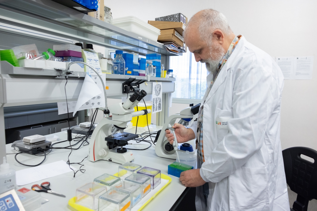 La UJI y Semicrol desarrollan una plataforma para reutilizar muestras biológicas en la investigación